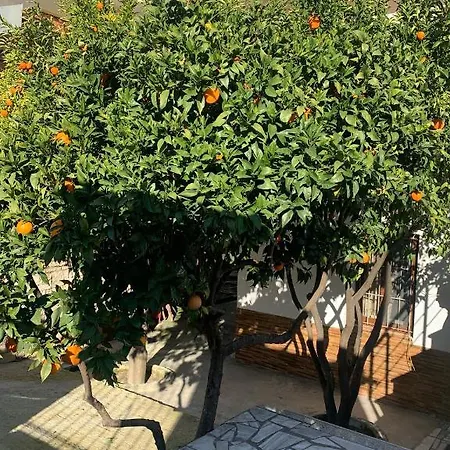 Demaj! Free Parking Tatil Evi *